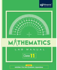 Blueprint Mathematics Lab Manual Class-11