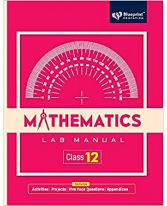Mathematics Lab Manual - 12
